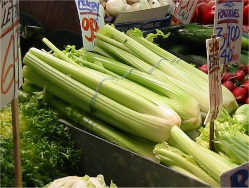 recognize celery