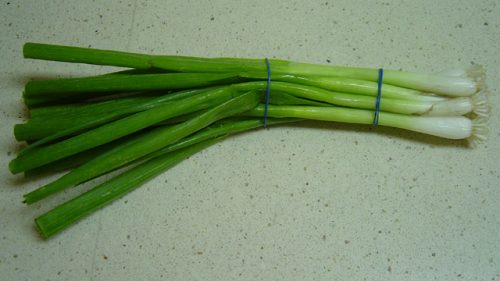 recognize Spring onion