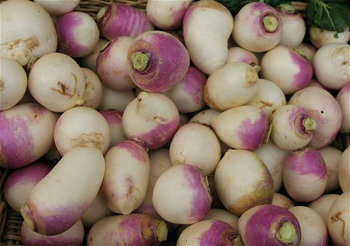 recognize turnips