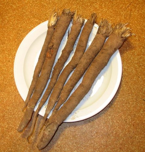 recognize salsify
