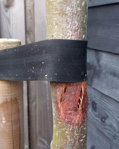 recognizing abrasion damage tree by tree ties